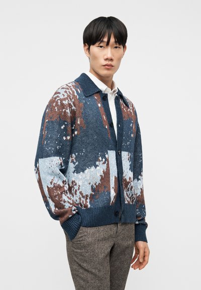 Νέος άνδρας που φοράει ένα μπλε, καφέ και λευκό ζακάρ πλεκτό ζακέτα με κουμπιά πάνω από λευκό πουκάμισο και καφέ παντελόνι, στέκεται μπροστά σε ένα μονόχρωμο φόντο.