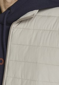 Jack & Jones PREMIUM Allvädersjacka - beige