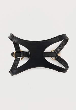 COLLAR AND LEASH ICON - Pet accessory - black