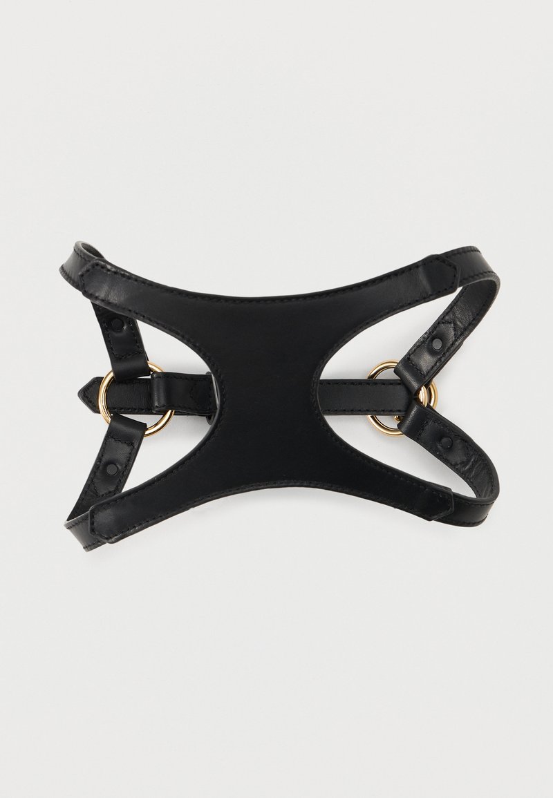 Μαύρο δερμάτινο λουρί με χρυσούς μ εταλλικούς κρίκους και ρυθμιζόμενους ιμάντες σε απλό λευκό φόντο.