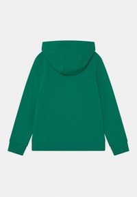 Sudadera verde hecha de una mezcla de algodón, con una capucha espaciosa, puños y dobladillo acanalados. Textura suave con un diseño de color sólido.