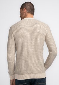 Beige knitted sweater with textured pattern, ribbed cuffs and hem, crew neck design, shown from the back on a neutral background.