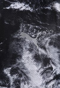 Puma-logotypen i grått centrerad på svart och vitt abstrakt virvlande mönstrat tyg med en nätstruktur.