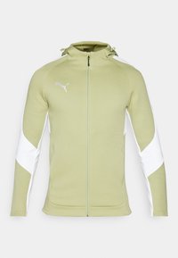 HOODED JACKET - Zip-up sweatshirt - calming green/silver/white