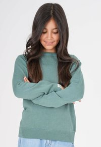 Grüner Strickpullover mit Rundhalsausschnitt sowie gerippten Bündchen und Saum. Das Material ist weich und strukturiert, gezeigt an einem Model mit verschränkten Armen.