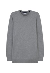 Sweat-shirt gris en tissu doux, doté d'un col rond, de manches longues, et de poignets et d'un ourlet côtelés. Design minimaliste sans motifs ni accents.