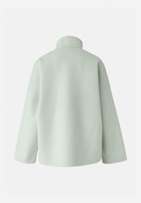 Licht mintgroene oversized jas met een hoge kraag en doorgezakte schouders. Gemaakt van zachte, wolachtige stof met een gladde textuur.