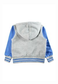 Sweat à capuche gris avec des manches bleues, doté d'une capuche et de poignets rayés. Texture lisse avec un design décontracté, adapté à un usage quotidien.