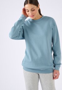 Felpa azzurra con scollatura a girocollo e maniche lunghe, realizzata in tessuto morbido. Presenta polsini e orlo a coste, indossata con pantaloni grigi.