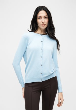 Hosszú sötét hajú nő világoskék, gombos kardigánt és sötét nadrágot visel, egyszínű, fehér háttér előtt.