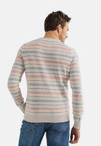 Lichte, langesleeve trui met horizontale strepen in pastelkleuren zoals perzik, groen en blauw, met geribde manchetten en onderkant.