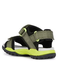Geox J BOREALIS  - Sandalias de senderismo - military lime