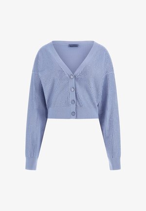 Helle blaue, verkürzte Strickjacke mit V-Ausschnitt, langen Ärmeln, Knopfverschluss und durchbrochener Textur am Körper und an den Ärmeln.