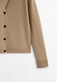 Massimo Dutti Kardigan