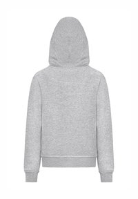 Grijze hoodie met een gladde textuur, geribde manchetten en zoom. Heeft een centrale naad op de achterkant en een eenvoudig, onversierd ontwerp.