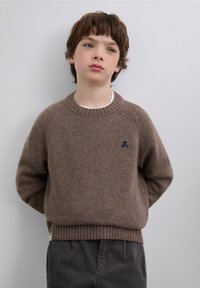 Brown knit sweater with ribbed collar and hem, featuring a small dark blue skull emblem on the chest. Worn over a white shirt.