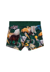 Molo JUSTIN BOTTOM 2 PACK - Boxeri - ponderosa mix