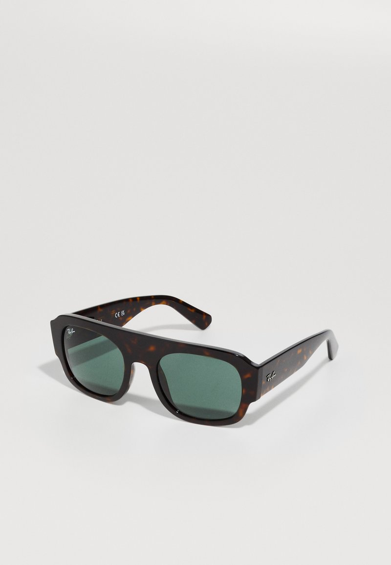 Kiaulės kriaukle papuoštos saulės akinių su žaliais objektyvais. Kvadratiniai rėmeliai pasižymi lygiu paviršiumi ir švelniu kreivumu prie šventyklų. Ray-Ban logotipas ant šoninės dalies.