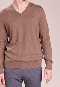 Pull en maille marron à col en V, fabriqué en tissu doux, avec des manches longues et des poignets côtelés. Petit logo brodé sur la poitrine.