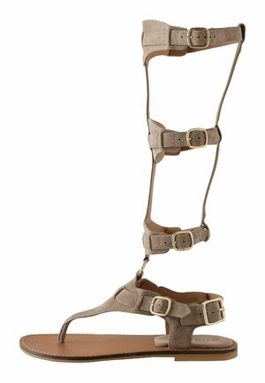 Beige Wildleder Gladiator-Sandale knielang mit mehreren goldenen Schnallen und flacher Sohle auf weißem Hintergrund.