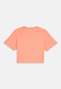 Κοντομάνικο, κοντό t-shirt από απαλό βαμβάκι σε κοραλλί απόχρωση. Διαθέτει στρογγυλή λαιμόκοψη και λεία υφή χωρίς διακοσμητικά ή σχέδια.