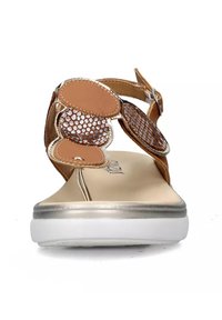 Sandali marroni con rete decorativa e accenti solidi, dotati di punta rotonda, cinturino regolabile e suola bianca imbottita. Texture liscia.