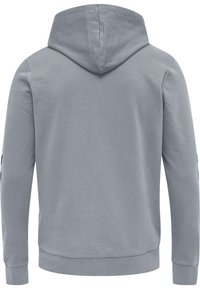 Hellgrauer Kapuzenpullover mit langen Ärmeln, gerippten Bündchen und Saum, von hinten vor weißem Hintergrund gezeigt.