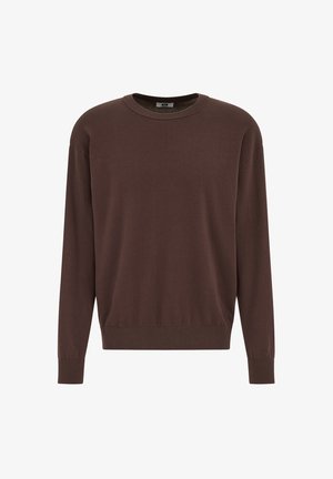 Brauner Pullover mit langen Ärmeln aus Strickmaterial, mit rundem Ausschnitt, gerippten Bündchen und lockerer Passform. Keine sichtbaren Muster oder Akzente.