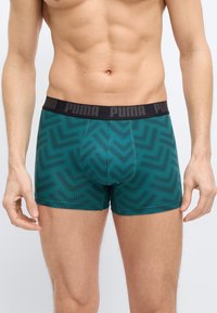 Torso masculin portant un boxer Puma vert à motifs avec une ceinture noire ornée du logo Puma en gris.