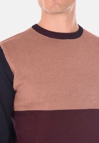 Maglione a maglia con design a blocchi di colore in marrone chiaro, blu navy e bordeaux, con collo a girocollo a coste e tessuto testurizzato.