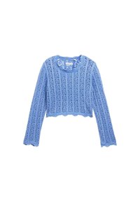 Top azzurro chiaro, cropped, a maniche lunghe realizzato in tessuto lavorato a maglia con un motivo in pizzo e bordi ondulati all'orlo e ai polsini.