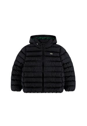 Schwarze gesteppte Kapuzenjacke mit Frontreißverschluss, grünem Futter, elastischen Bündchen und kleinem Krokodil-Logo auf der linken Brust.