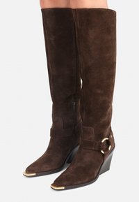 Brown suede knee-high boots with a pointed toe, wedge heel, side zipper, and a circular gold accent on the strap.