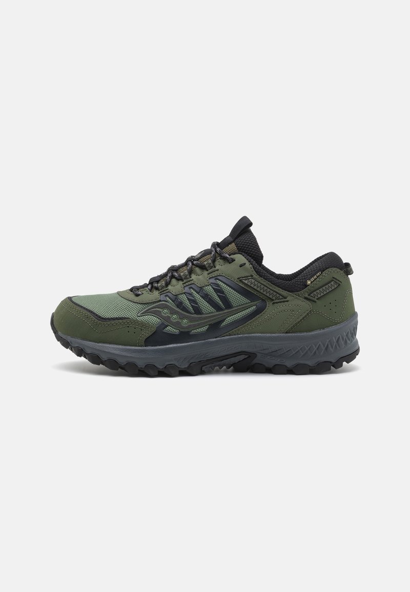 Chaussure de trail running verte et noire avec semelle texturée, design à lacets, mesh respirant et label Gore-Tex pour protection imperméable.