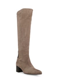 Stivale in suede taupe al ginocchio con punta appuntita e tacco a blocco. Presenta una parte superiore angolata e pannelli laterali elasticizzati per una vestibilità comoda. Texture liscia.