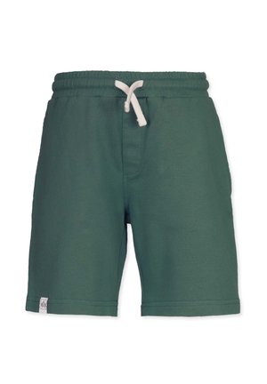 LAID BACK JOGGING - Verryttelyhousut - cilantro green
