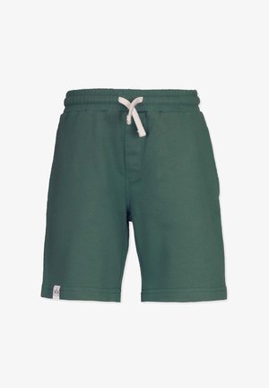 Grønne bomuldsshorts med elastisk talje, snorelukning og sidelommer. Glat tekstur, simpelt design og syet kant.