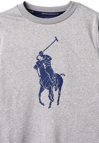 Šedá mikina vyrobená z bavlněné směsi s velkým modrým grafickým motivem póla uprostřed. Design s kulatým výstřihem a ribbovaným lemem.