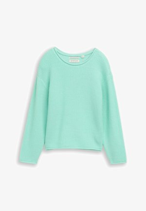 Ribbelgebreide trui in muntgroen met lange, wijde mouwen en een afgeronde halslijn. Soepele textuur, cropped lengte en een subtiel merkje aan de binnenkant.