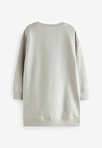 Sweat-shirt long gris clair avec col rond, poignets et ourlet côtelés, vu de dos.