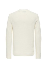 Maglione di colore crema con una texture di tipo peloso e un design a coste. Presenta un collo rotondo e un orlo aderente, che esalta la sua silhouette strutturata.
