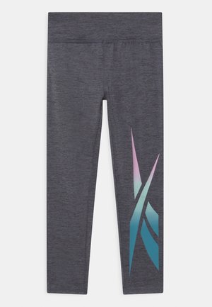 VECTOR - Leggings - grey