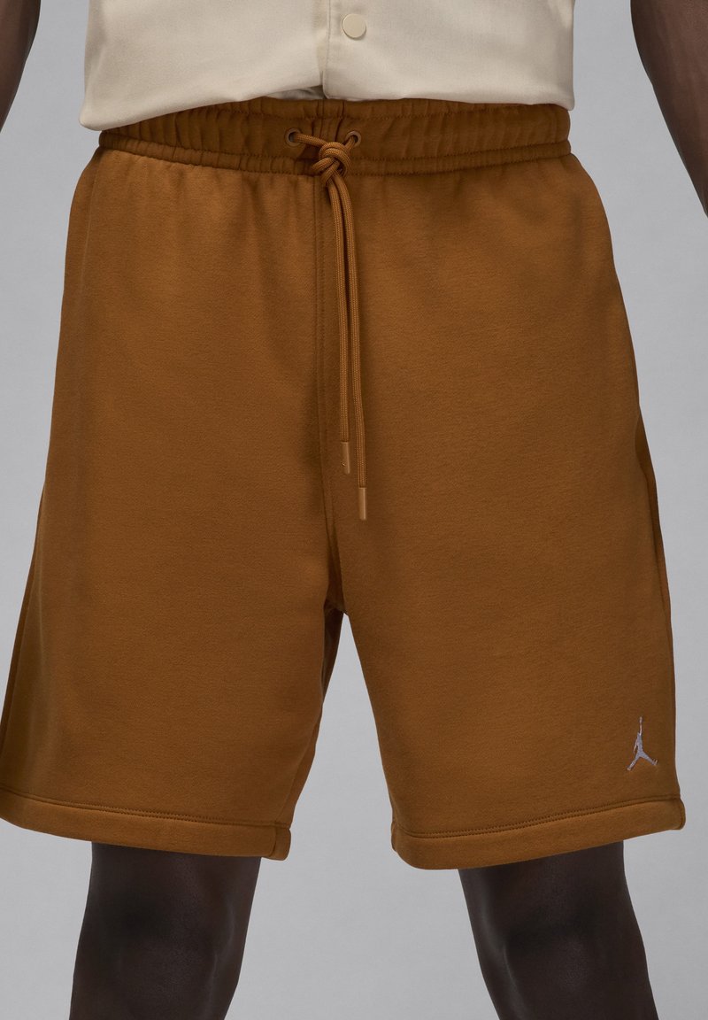 Jordan BROOKLYN - Kurze Sporthose - desert bronze white