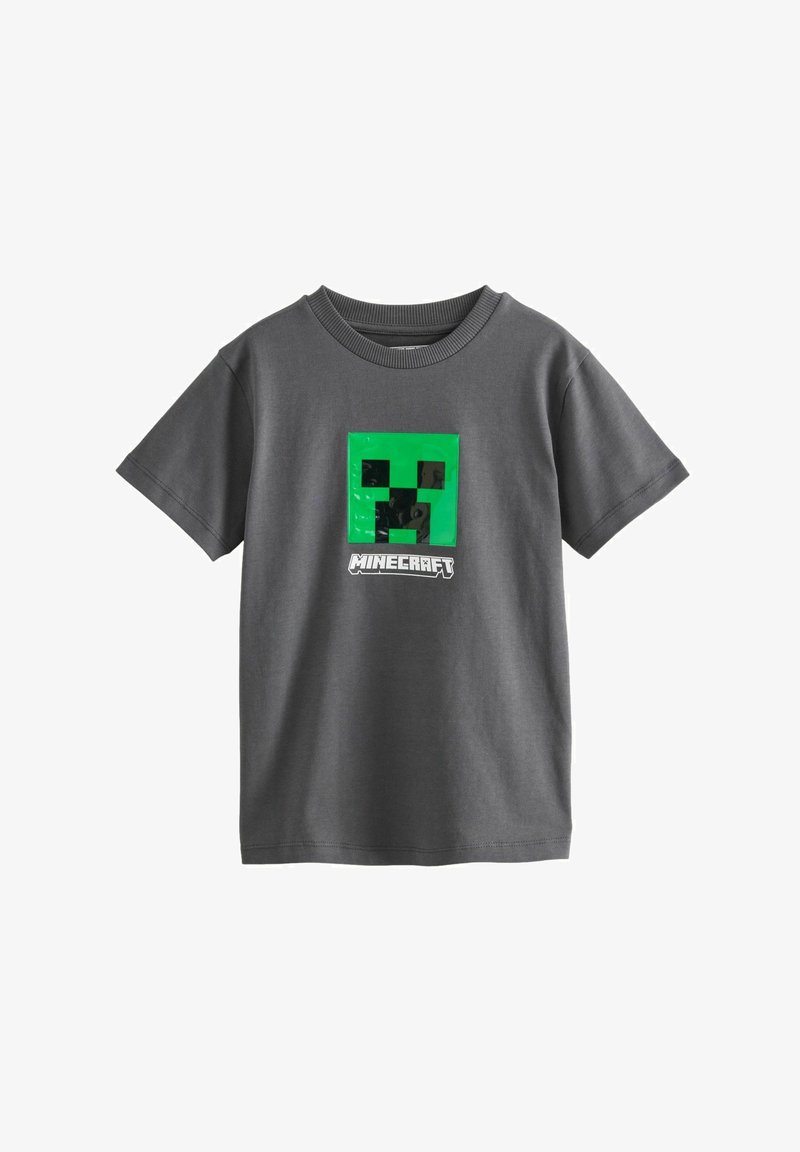 Next LICENSE - T-shirts print - grey