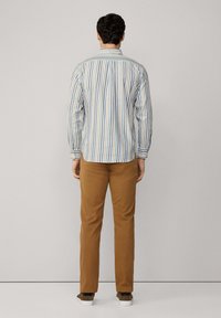 Camisa de cuadros en colores claros con líneas verticales, combinada con pantalones marrones y zapatos oscuros, vista desde la espalda.