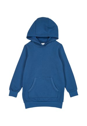 Blue hoodie made from a cotton blend with a front pouch pocket, long sleeves, and a spacious hood; smooth texture and relaxed fit.
