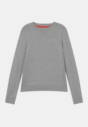 Lysegrå langærmet sweater med rund hals, ribkanter ved ærmer og kant, med en lille trekantet logo på venstre bryst.
