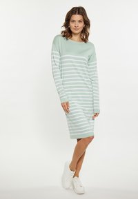 Rochie tricotată în dungi, de culoare verde deschis și alb, cu mâneci lungi, guler rotund și un croi lejer. Purtați-o cu adidași albi.