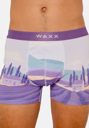 WAXX BOXER LAVANDE - Boxers - violet
