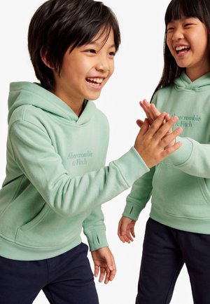 Abercrombie & Fitch, ESSENTIAL LOGO UNISEX - Hoodie - silt green